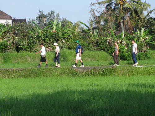 Hotel The Sungu Resort & Spa