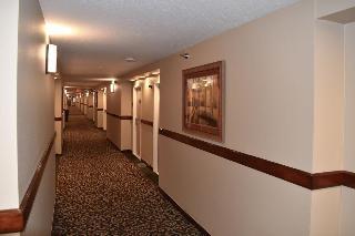 Hotel Quality Inn & Suites