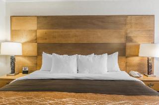 Hotel Quality Inn & Suites