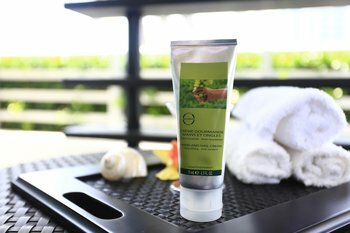 Hotel Hilton Bentley