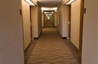 Hotel Comfort Inn (apex)
