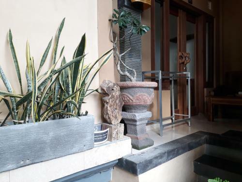 Hostal Adi House Homestay
