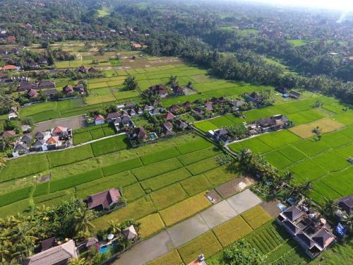 Villa Pondok Buda