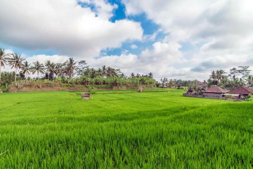 Hotel Om Ham Resort Ubud