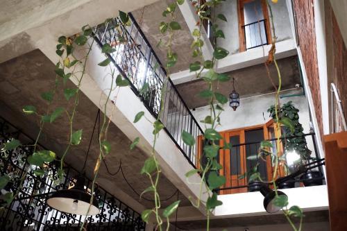 Hostal Pawon Cokelat Guesthouse