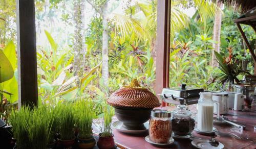 Hotel Sapu Lidi Resort Spa And Gallery