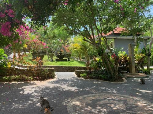 Hostal Tregge Surf Camp Uluwatu