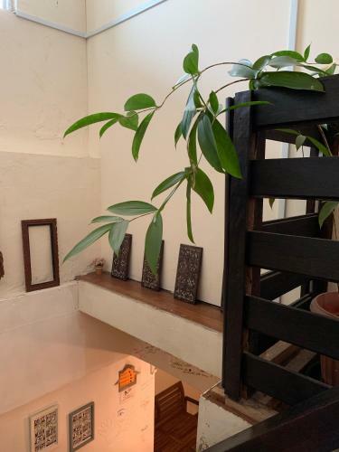 Posada My Place Hotel & Lodge