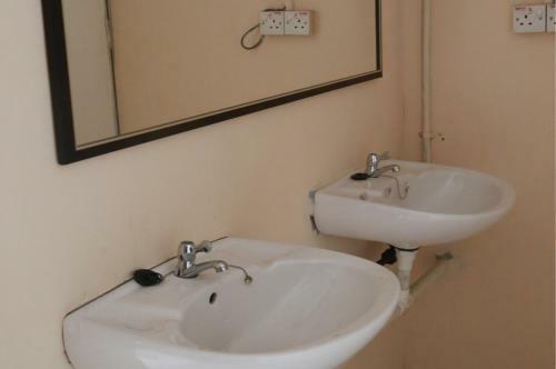 Albergue Gibbon Guesthouse