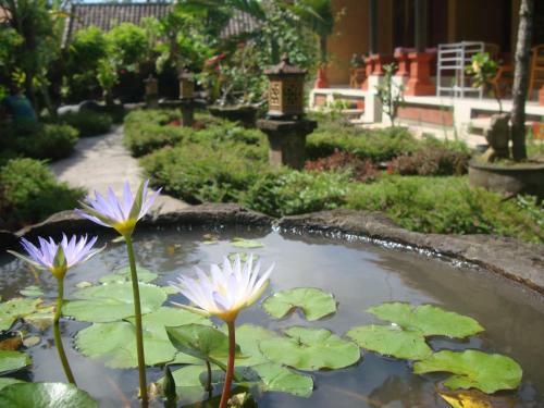 Hostal Gusti Home Stay Ubud