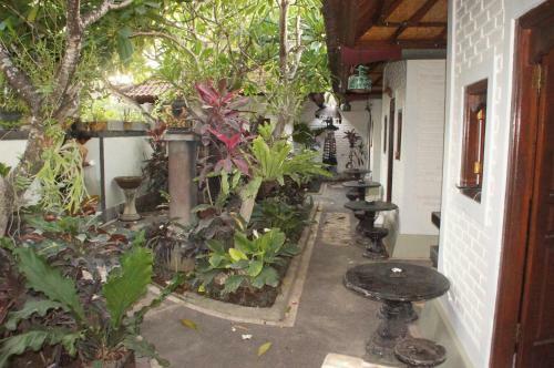 Hostal New Danas Canggu Guest House