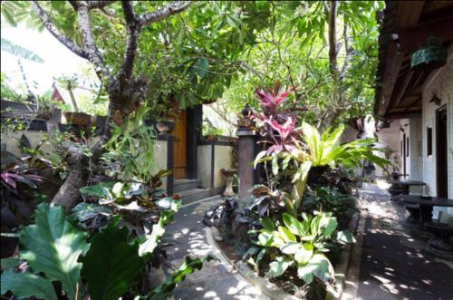 Hostal New Danas Canggu Guest House