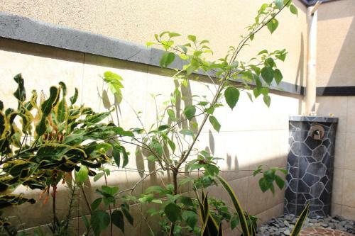 Hostal Pondok Shindu Guest House