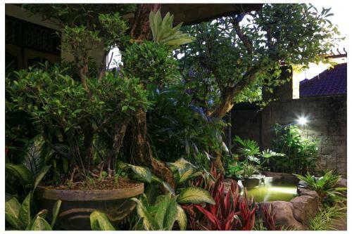 Hostal Donna Homestay