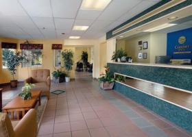 Hotel Comfort Inn Sarasota At I-75