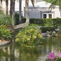Hotel Grand Hyatt Tampa Bay