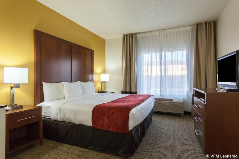 Hotel Comfort Suites Central/i-44