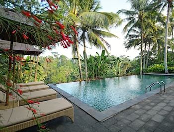 Hotel Pertiwi Bisma 1