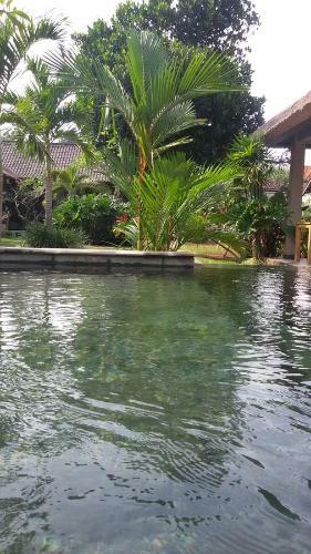 Suka's House Bed & Breakfast