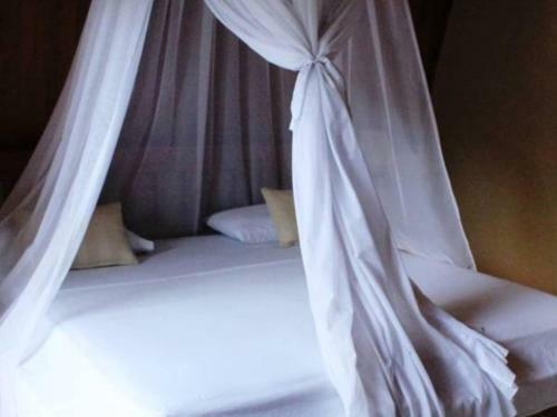 Hostal Cha Cha Bungalows
