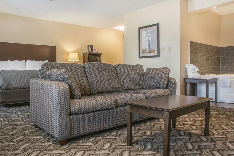 Hotel Comfort Inn & Suites Ambassador Bridge