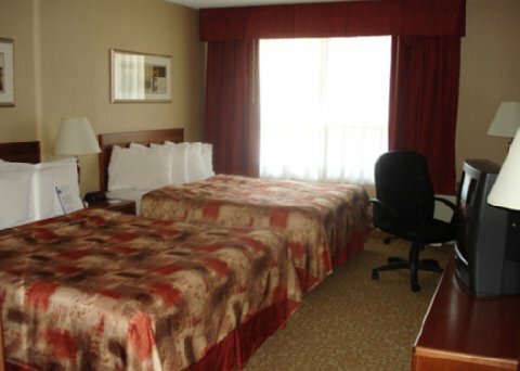 Hotel Comfort Inn & Suites Ambassador Bridge