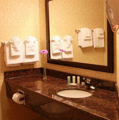 Hotel Comfort Inn & Suites Ambassador Bridge