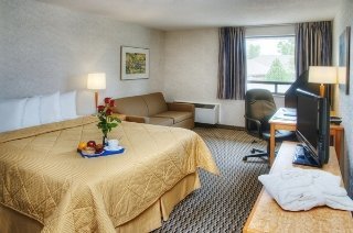 Hotel Comfort Inn South