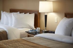 Hotel Comfort Inn Winnipeg Airport