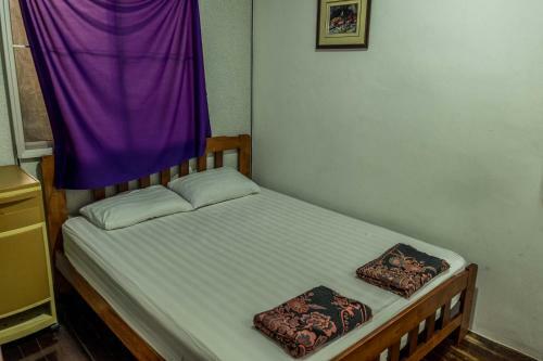 Hostal Discovery Cafe And Guesthouse