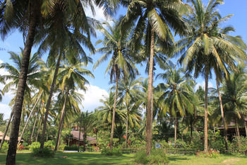 Hotel Sudala Beach Resort