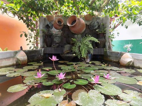 T Star Cottage Langkawi