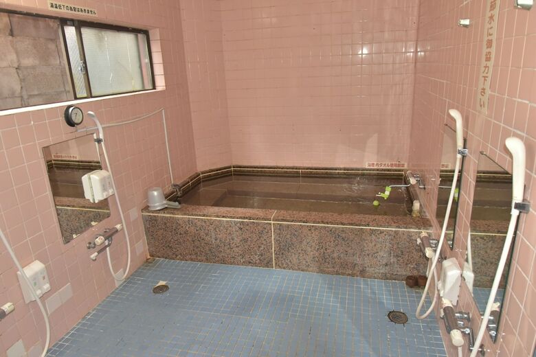 Hotel New Tochigiya