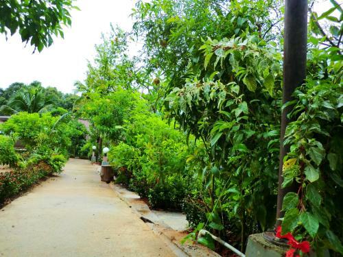 The Krabi Forest Homestay
