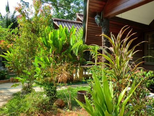 The Krabi Forest Homestay