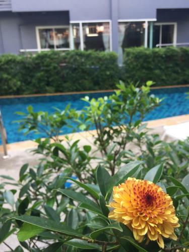 Hotel Aonang Village Resort