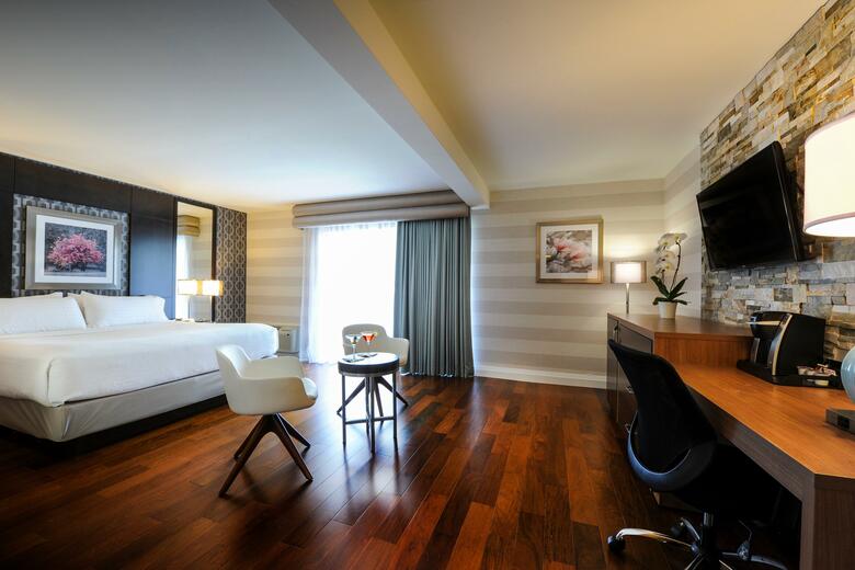 Hotel Holiday Inn Niagara Falls-by The Falls