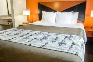Hotel Sleep Inn Sarasota