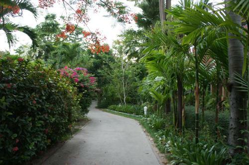 Hotel Palm Village