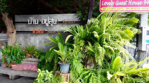 Hostal Lovely Guesthouse 94