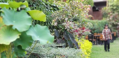 Albergue Shakara Garden