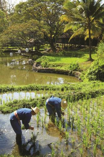 Hotel Four Seasons Resort Chiang Mai