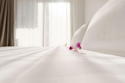 Hotel The Nchantra Pool Suite Phuket
