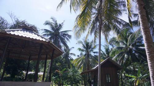 Albergue Eve House Koh Kood