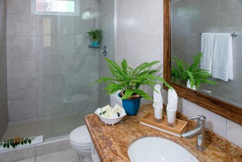Apartamento Yellow Bird Hotel