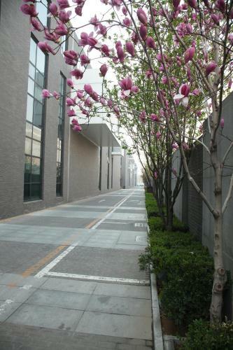 Days Hotel Beijing New Exhibition Centre