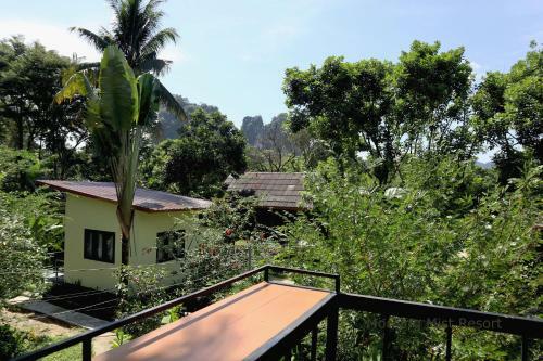 Hotel Khao Sok Morning Mist Resort