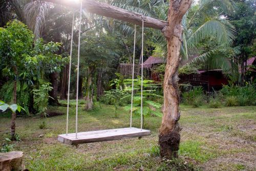Hotel Khao Sok Palmview Resort