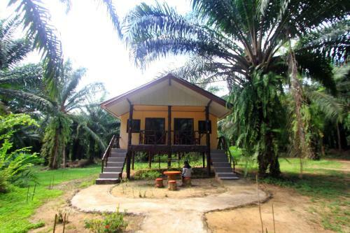 Hotel Khao Sok Palmview Resort