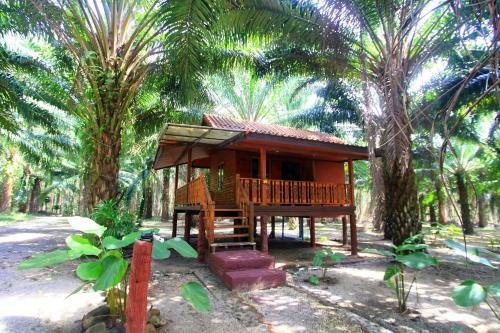 Hotel Khao Sok Palmview Resort
